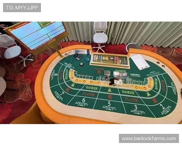 网赌百家乐新手指南：如何选择正规平台避免资金被骗的实用建议