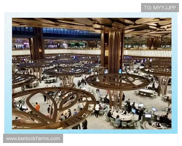 马来西亚云顶高原赌场的历史发展与未来规划详解