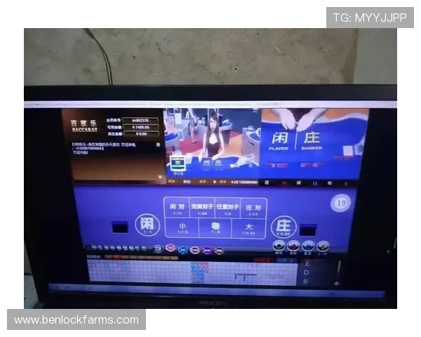 亚星娱乐百家乐官网平台安全性与合法性保障措施详解