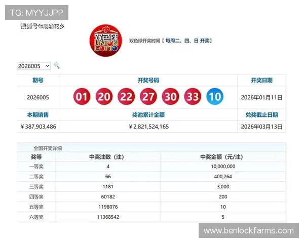 澳门幸运6庄闲玩法新手指南，快速入门掌握基本规则与实战技巧提升体验
