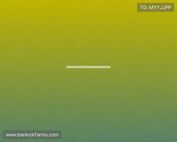 塞内加尔对阵伊拉克世界杯经验对比分析:战术布局与比赛结果探讨 塞内加尔对阵伊拉克世界杯经验对比分析:战术布局与比赛结果探讨